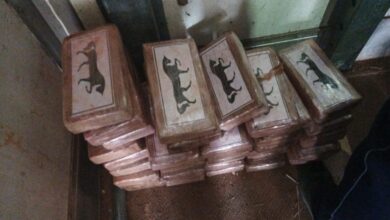 "إحباط عملية تهريب دولية كبرى للكوكايين بمعبر الكركرات جنوب مدينة الداخلة"