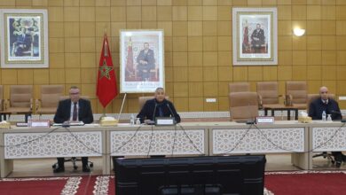 اللجنة الإقليمية للتنمية البشرية بالحاجب تصادق على 36 مشروعًا جديدًا بقيمة 17 مليون درهم