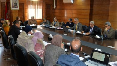 اجتماع لجنة التكوين وإنعاش التشغيل بجهة فاس-مكناس لتعزيز التعليم العالي والبحث العلمي والابتكار الرقمي استعدادا للدورة العادية لمجلس الجهة