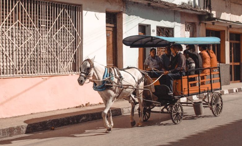 جمعيات تنادي بإنقاذ حيوانات مهملة