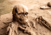 ما الذي يعني "اكتشاف الدار البيضاء" لفهم تاريخ تطور الإنسان بالمغرب؟