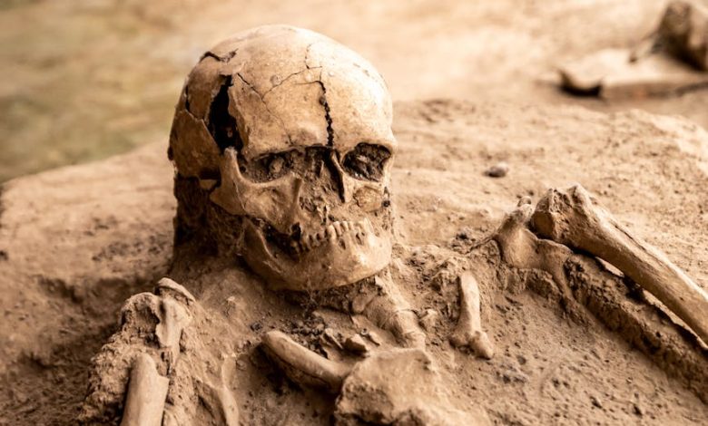 ما الذي يعني "اكتشاف الدار البيضاء" لفهم تاريخ تطور الإنسان بالمغرب؟