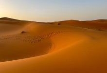 جلالة الملك محمد السادس والتحول الاستراتيجي لملف الصحراء المغربية في السياق الدولي الجديد