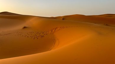 جلالة الملك محمد السادس والتحول الاستراتيجي لملف الصحراء المغربية في السياق الدولي الجديد