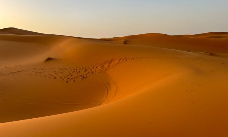 جلالة الملك محمد السادس والتحول الاستراتيجي لملف الصحراء المغربية في السياق الدولي الجديد