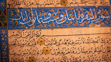 دراسة مغربية تدقق في التحولات النوعية لإنتاج المعرفة باللغة الأمازيغية